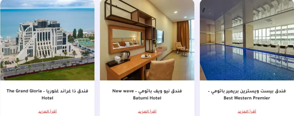 تطوير الموقع الالكتروني الخاص بنيوستب جورجيا
