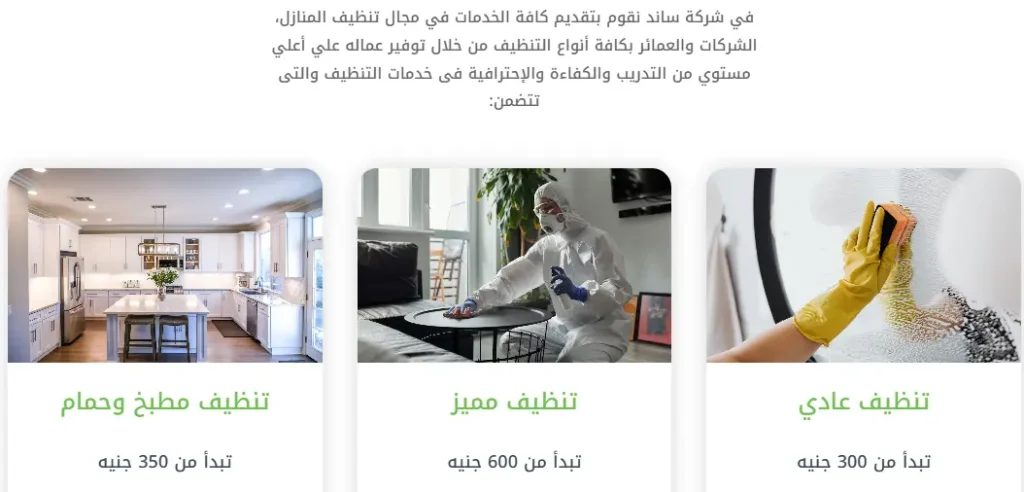 تصميم ويب سايت لساند