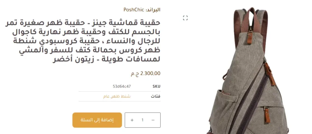 تصميم ويب سايت PoshChic Brands