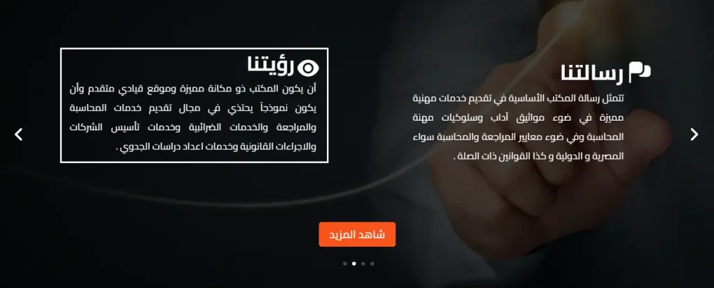 تطوير ويب سايت لشركة تصميم الموقع الالكتروني لشركة Professional Consult
