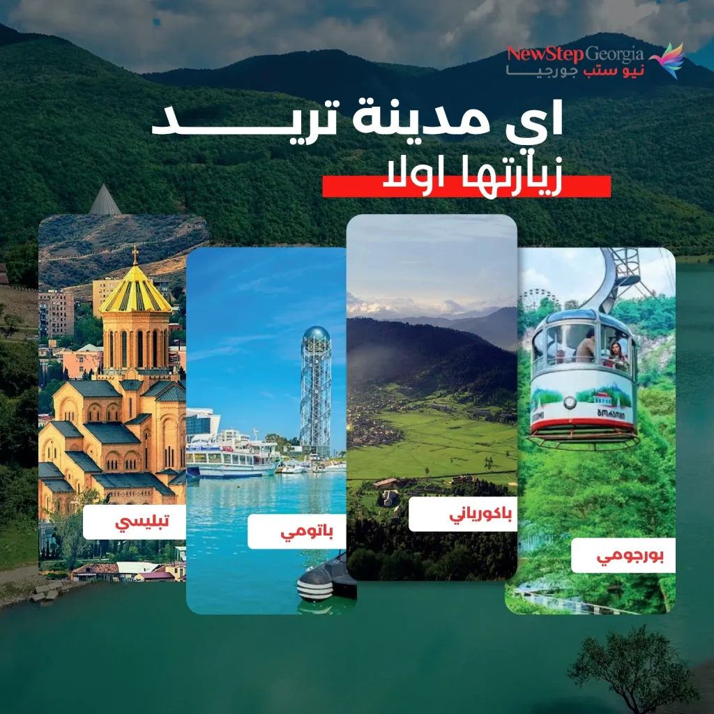 تصاميم احترافيه لموقع نيوستب جورجيا